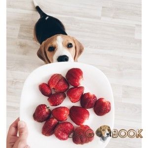 Хочу вкусняшки
