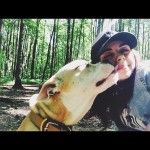 фото амстаффа 7