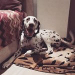 Это я веселый встречаю тебя с работы