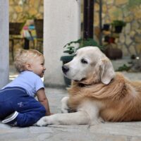 Прихоть ребенка или необходимый момент воспитания